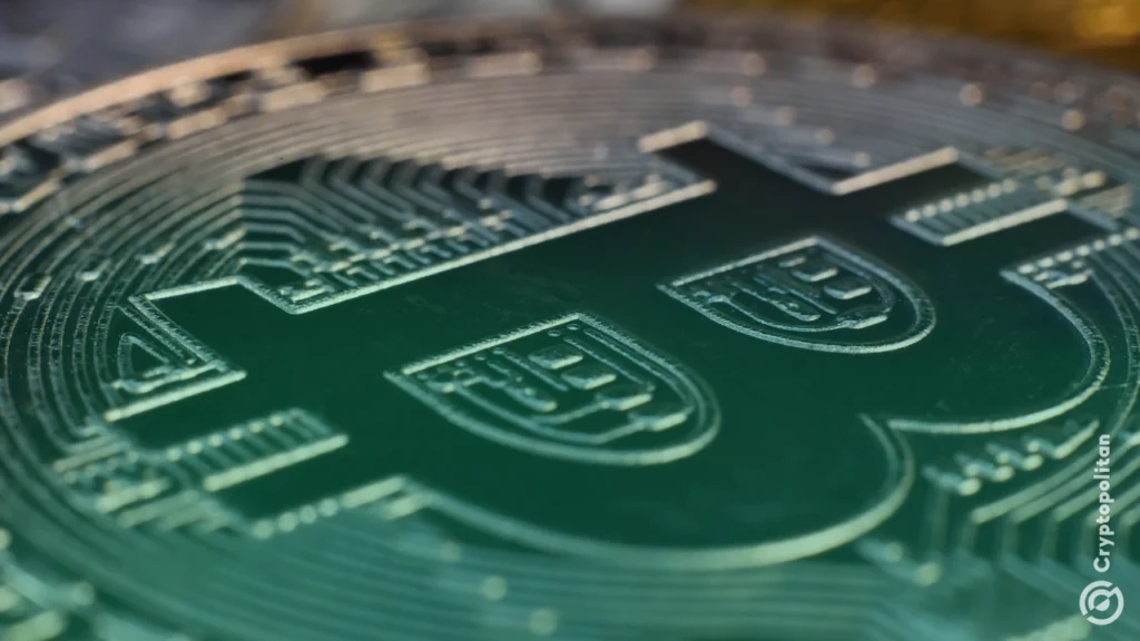 Crypto Treasuries: Are We Facing a Modern Dotcom Bust? Crypto Treasuries: Are We Facing a Modern Dotcom Bust?