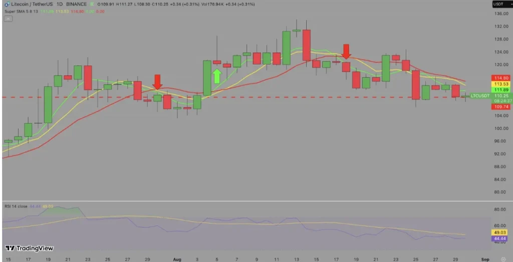 Litecoin Faces Pressure as Key Moving Averages Signal Potential Reversal - Bpay News