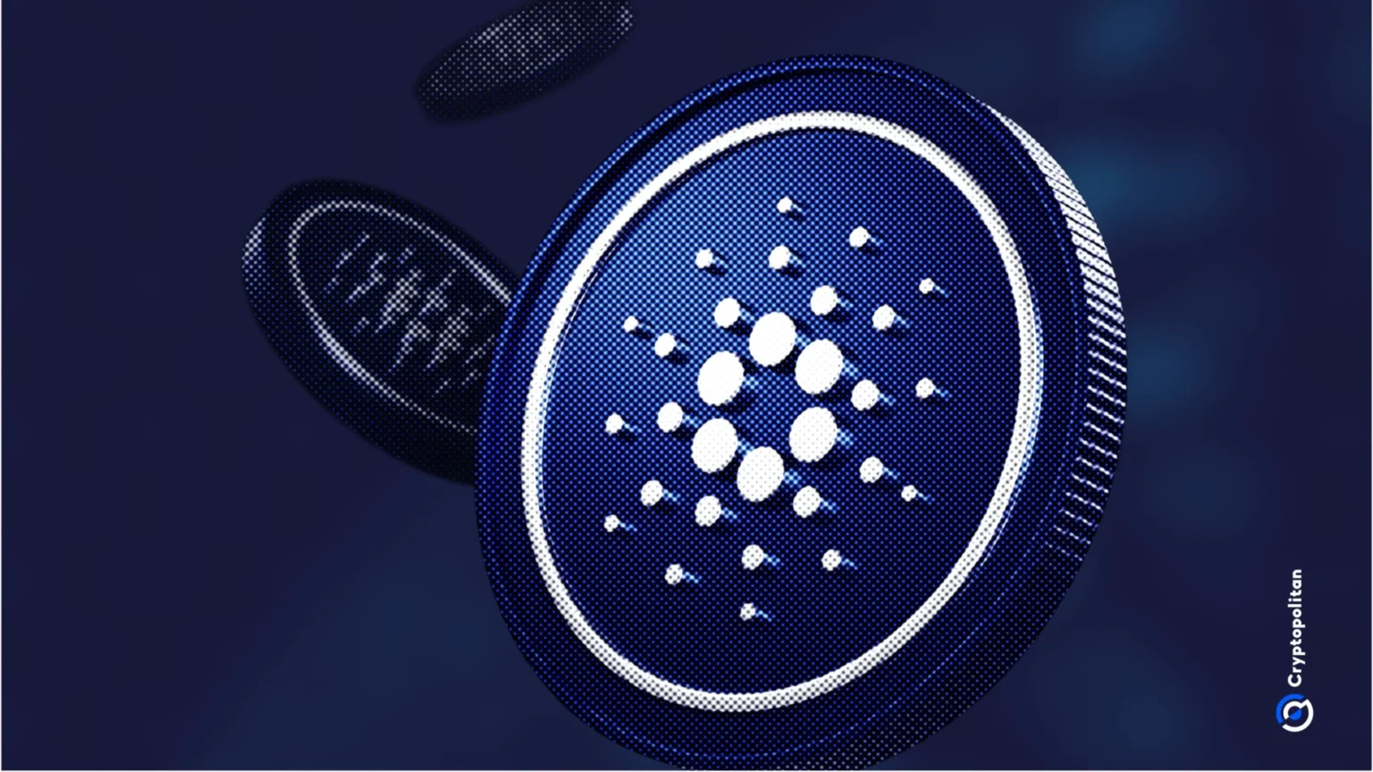 Cardano Whale Accumulation Fails to Support $ADA Price Amid Bitcoin W