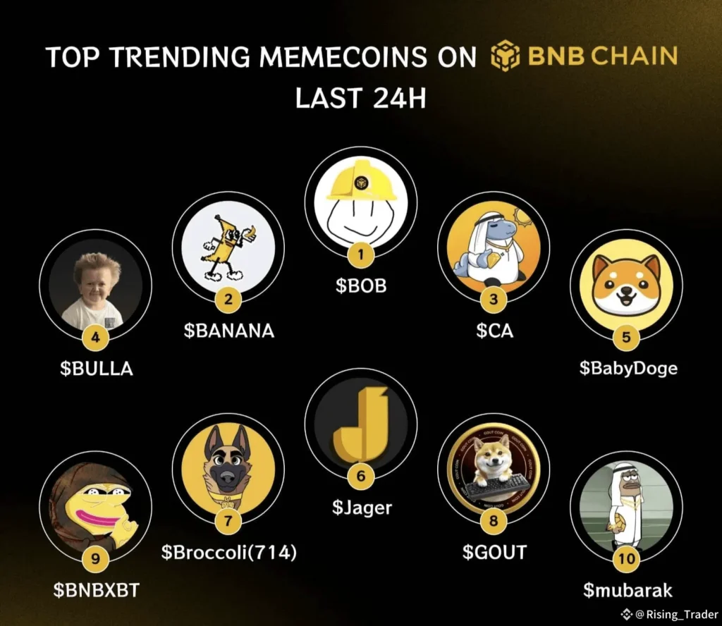 Binance Meme Rush: BNBHolder Tops Market Cap Leaderboard