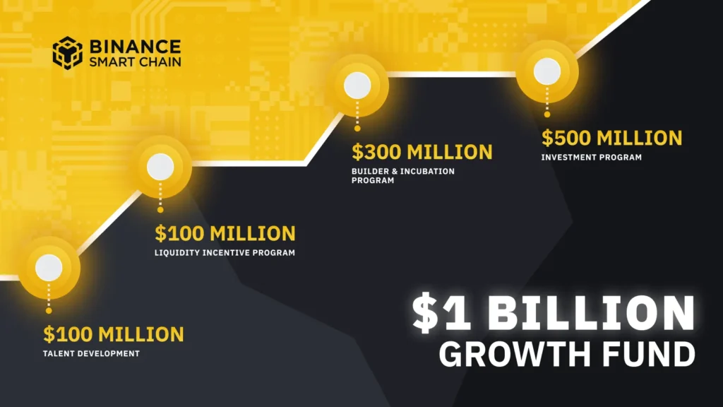 Binance Smart Chain Life Holder Sees 2260x Investment Growth