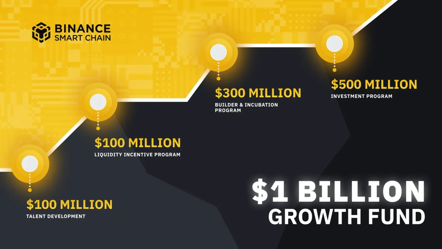 Binance Smart Chain Life Holder Sees 2260x Investment Growth