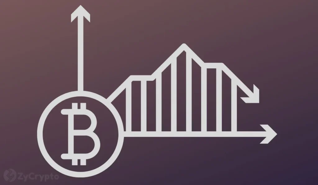 Bitcoin Slides Below 8K as Crypto Stocks Decline in Uptober Bitcoin Slides Below 8K as Crypto Stocks Decline in Uptober