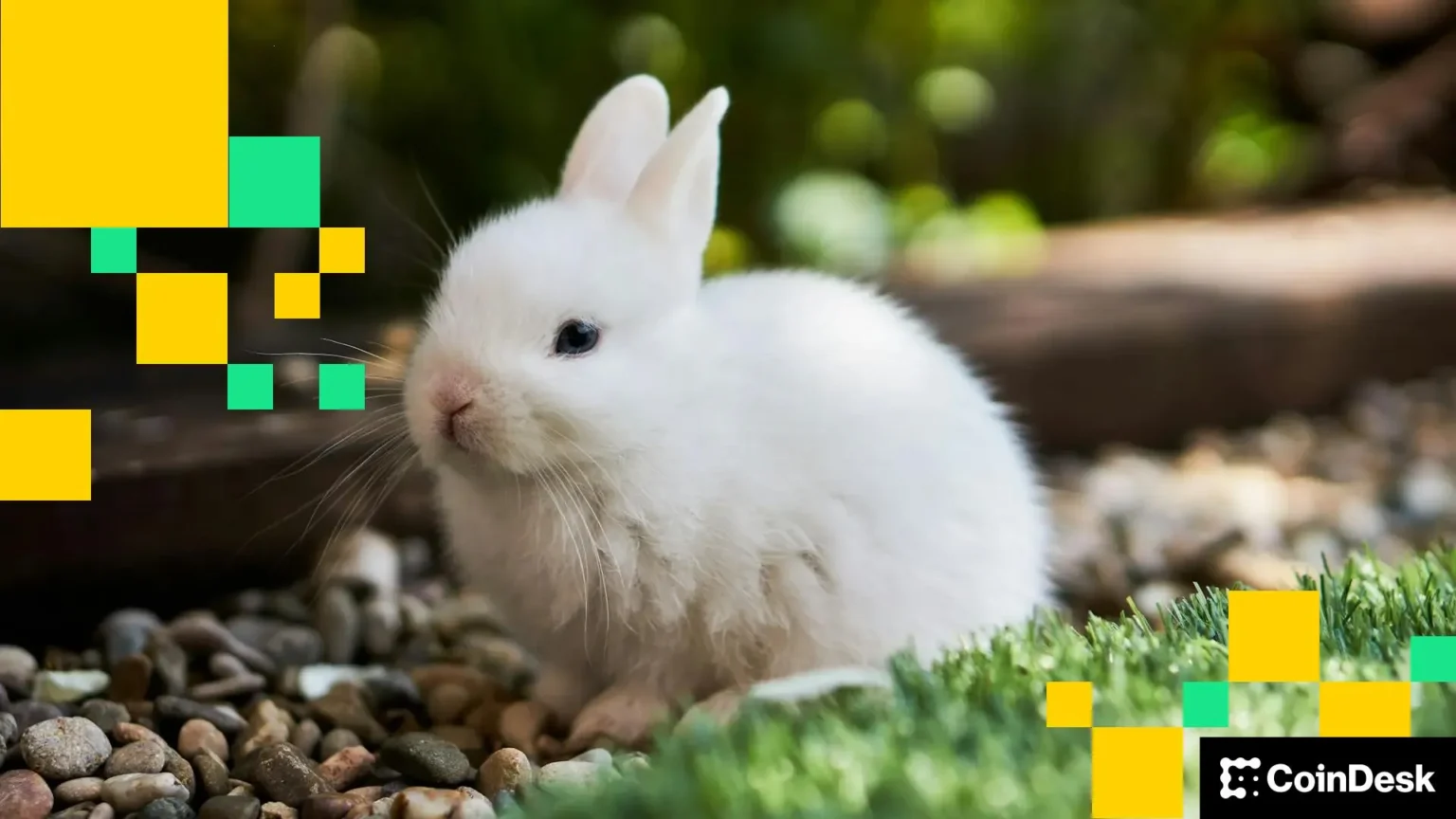 Bunni dex shuts down due to recovery costs after 4m exploit - Bpay News