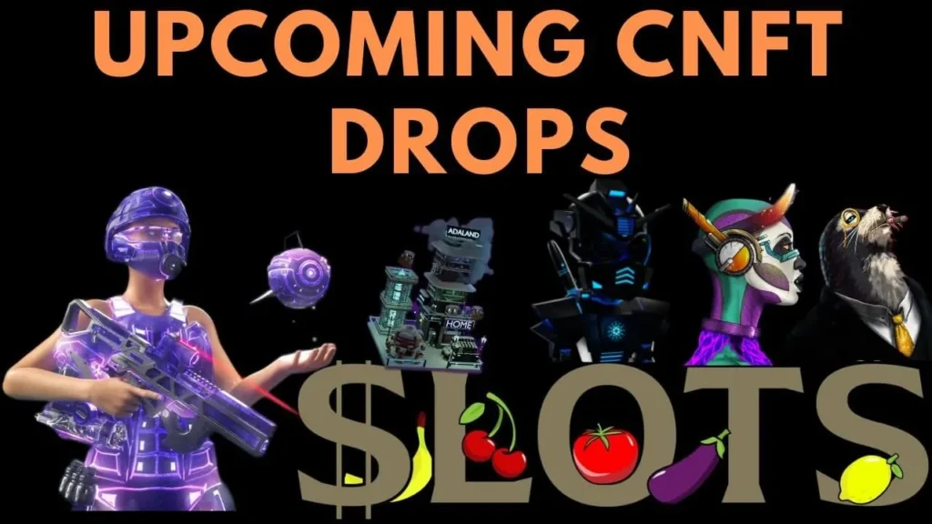 Cardano Price Drops 6.5% Despite Successful Midnight Mint Event