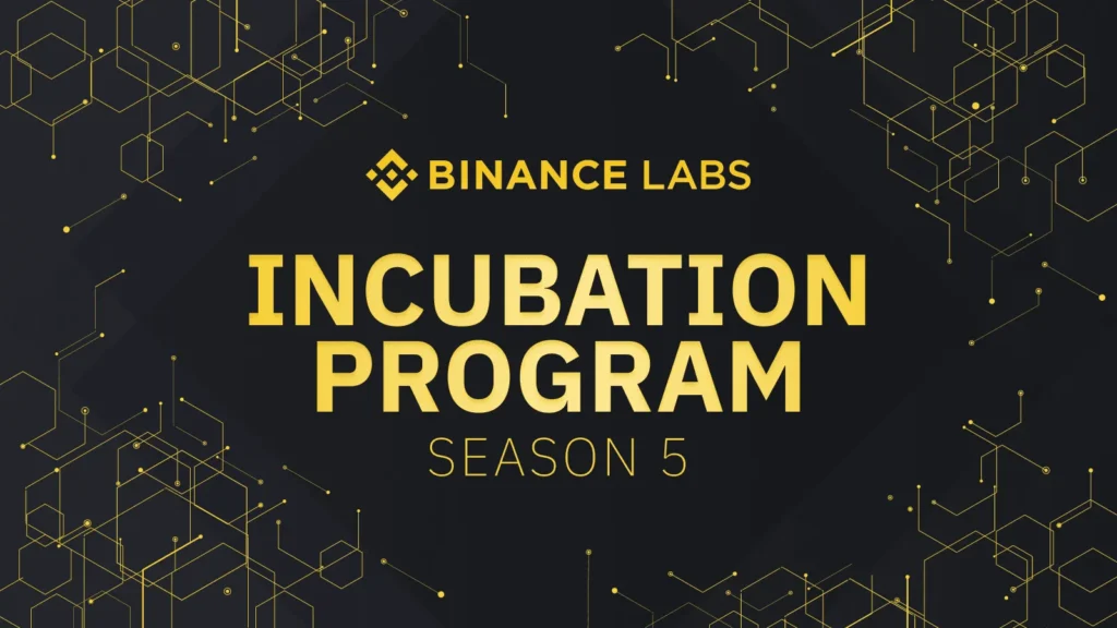 CZ Co-Founder Jeff’s Journey in the Binance Labs Incubation Program
