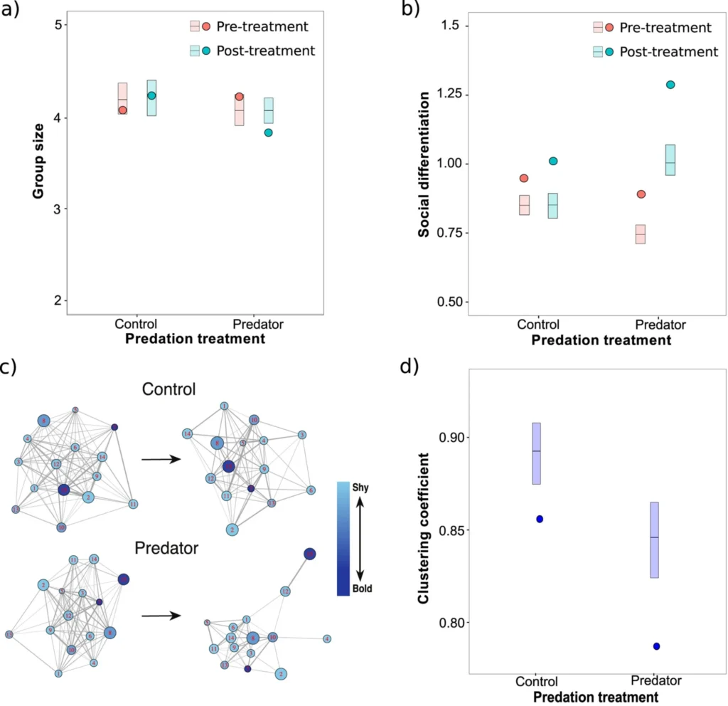 DWF Partner Affirms Institutional and Related Party Positions Remain Stable