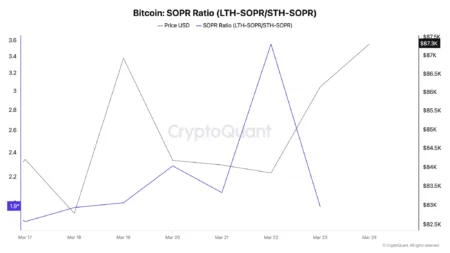 From Peak to Shutdown: Lessons for L1 Blockchains from Kadenas B Decline From Peak to Shutdown: Lessons for L1 Blockchains from Kadenas B Decline