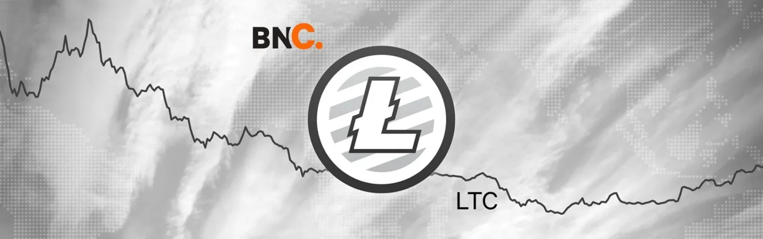 Litecoin displays bullish momentum while testing support above 6 - Bpay News