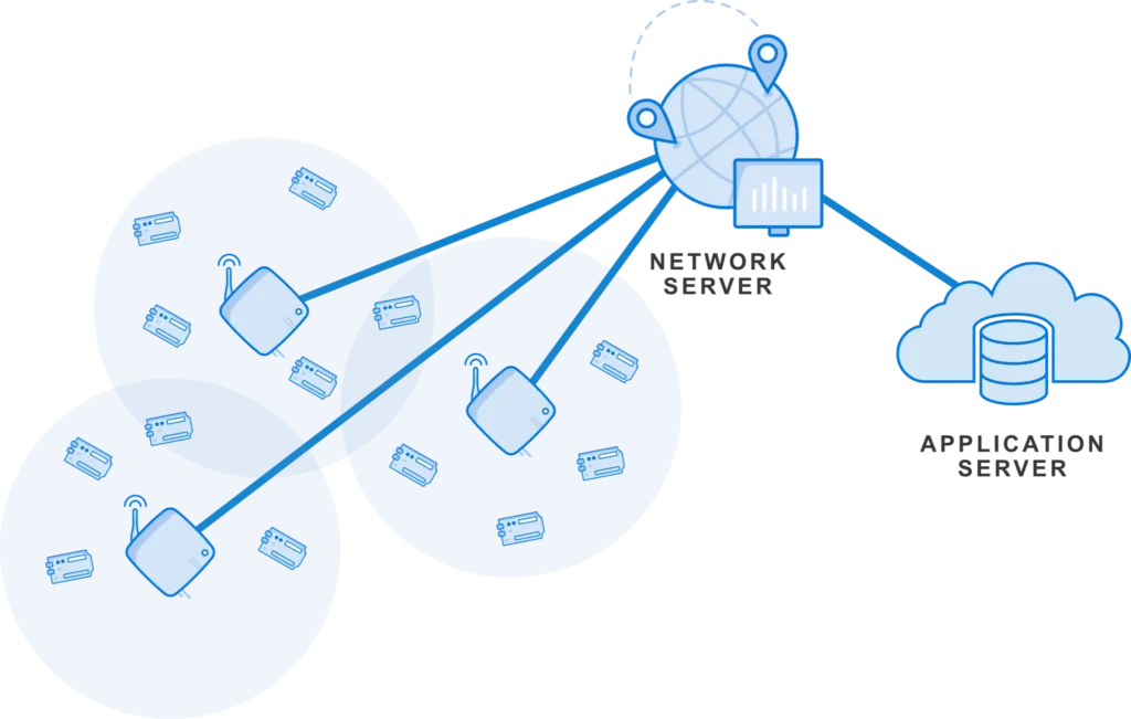 Network Sees Liquidation of .5339 Million from Long Positions