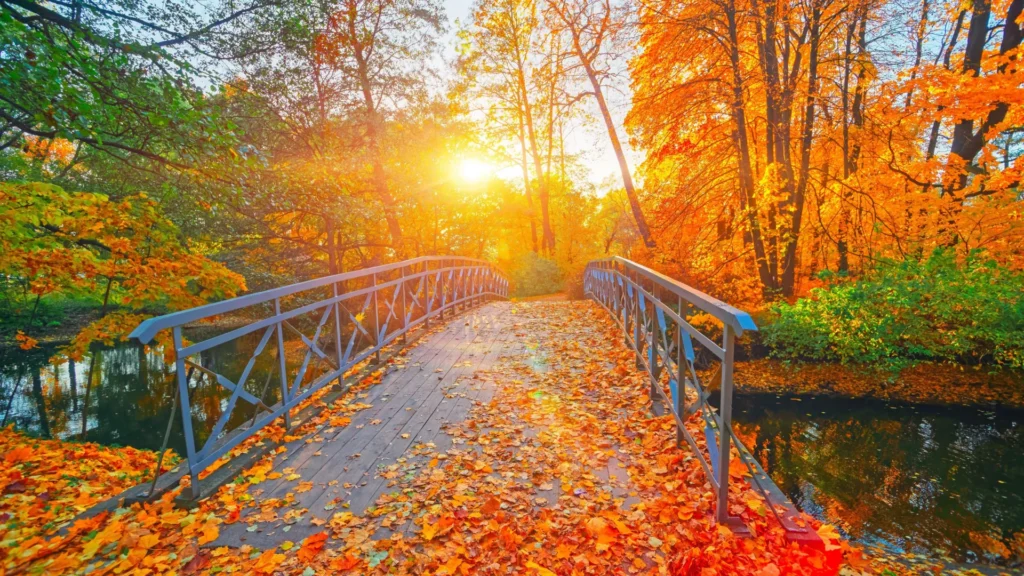 October Proves Most Destructive Month for Some Crypto Traders October Proves Most Destructive Month for Some Crypto Traders