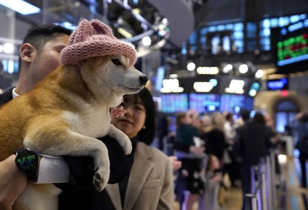 Over 13 Million Meme Coins Issued This Year, A16Z Reports Over 13 Million Meme Coins Issued This Year, A16Z Reports