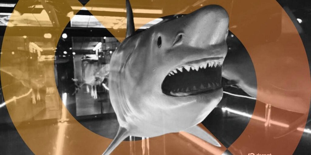 Bitcoin Hailed as Apex Predator of Money, Symbolized with Shark Statue Bitcoin Hailed as Apex Predator of Money, Symbolized with Shark Statue