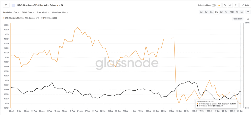 Bitcoin Price Targets 4,100 Peak, Yet Risks of Pullback Linger Bitcoin Price Targets 4,100 Peak, Yet Risks of Pullback Linger