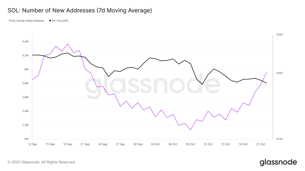 Is a Bearish Divergence Imminent for Solana Price? Is a Bearish Divergence Imminent for Solana Price?