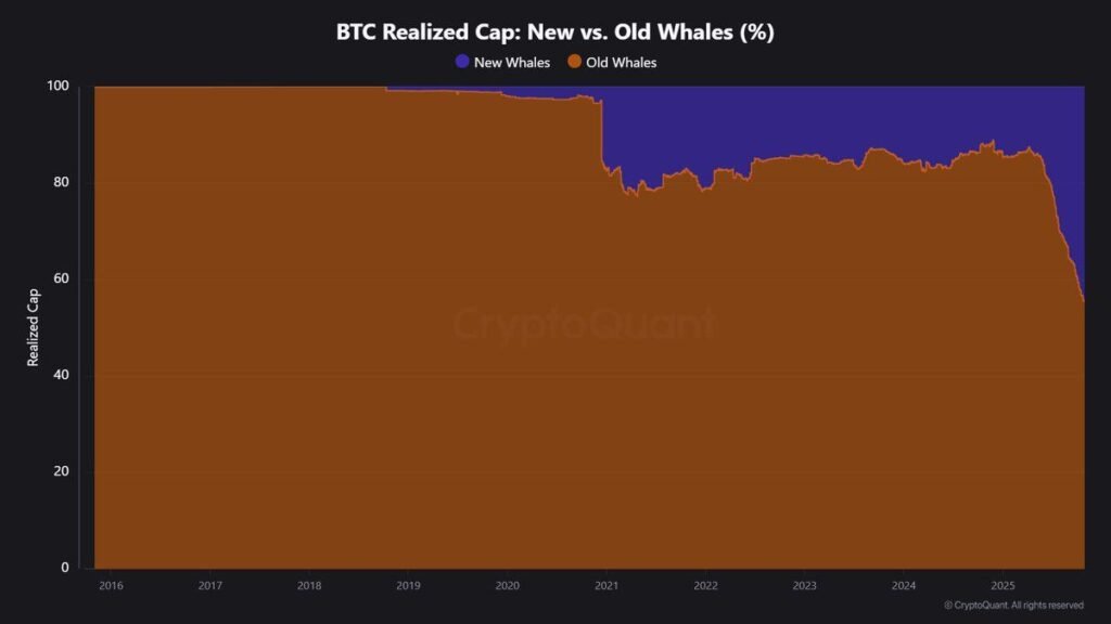 Potential Losses Loom for New Gen Bitcoin Whales in November Potential Losses Loom for New Gen Bitcoin Whales in November