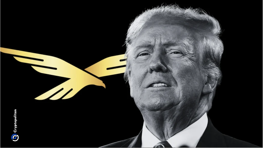 Should you invest in crypto income etfs The shocking truth - Bpay News