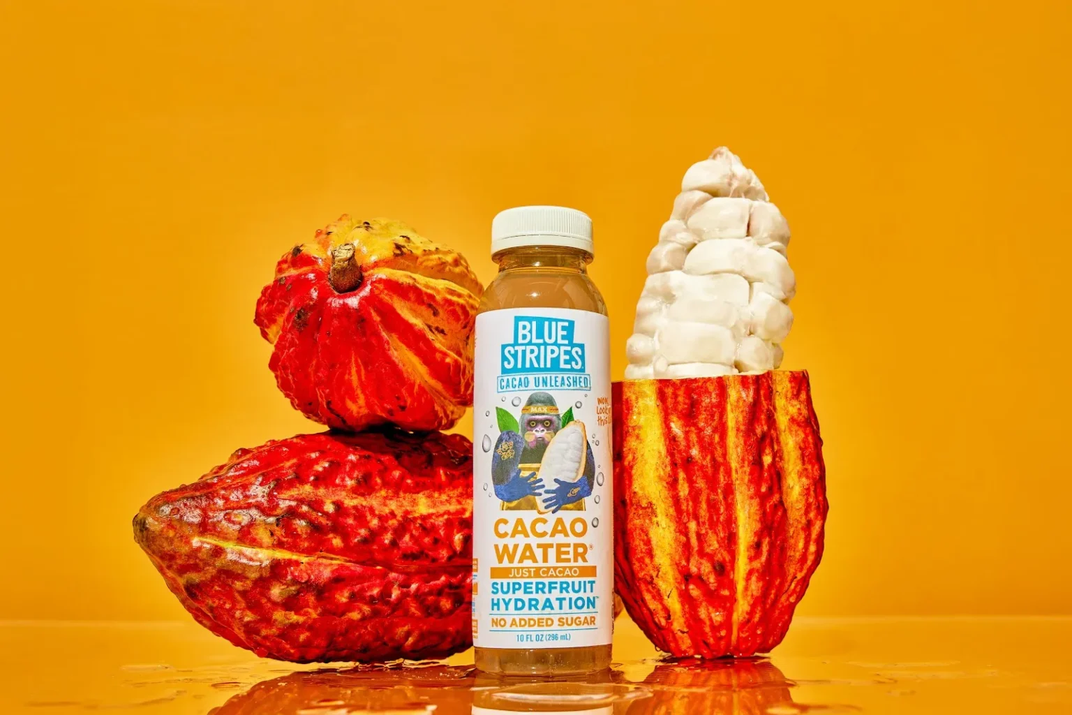 Stripes tempo blockchain secures $ million attracts key ethereum developer - Bpay News