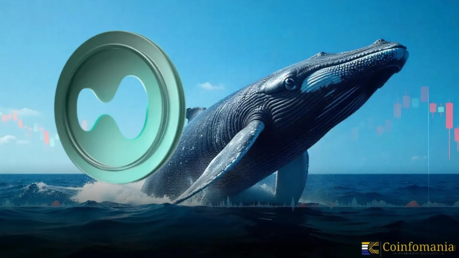 Suspected single whale holds over 14 66 million hype tokens - Bpay News