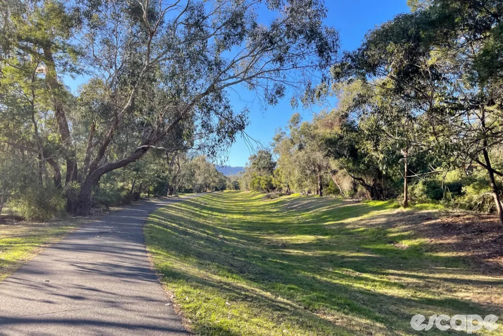 Tariff Clouds Part, Is the Bull Market’s Bugle Call Sounding Again?