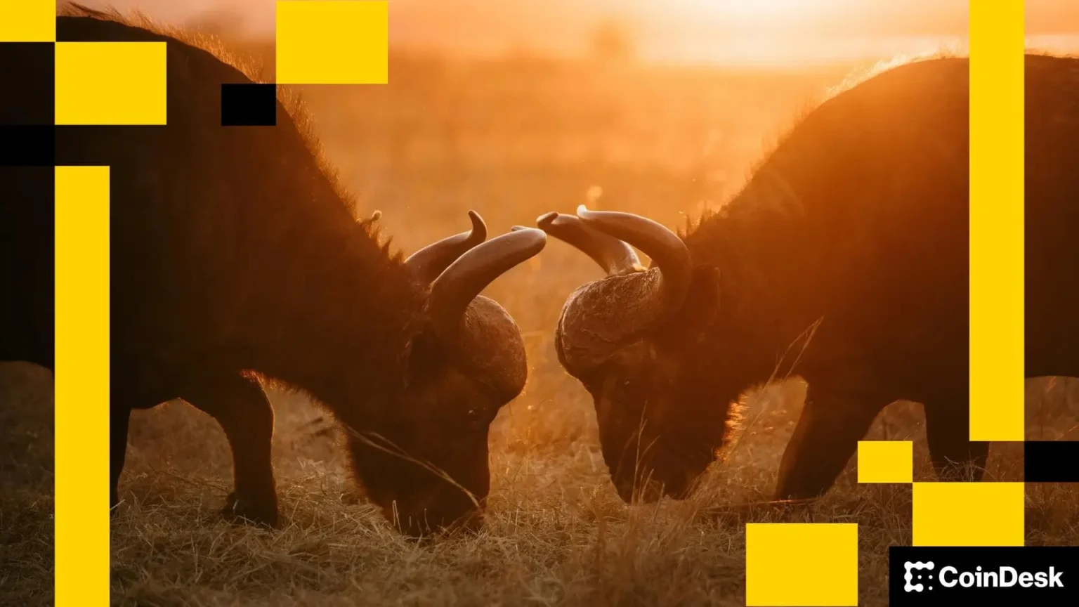 Tether and circles dominance faces new challenges in market - Bpay News