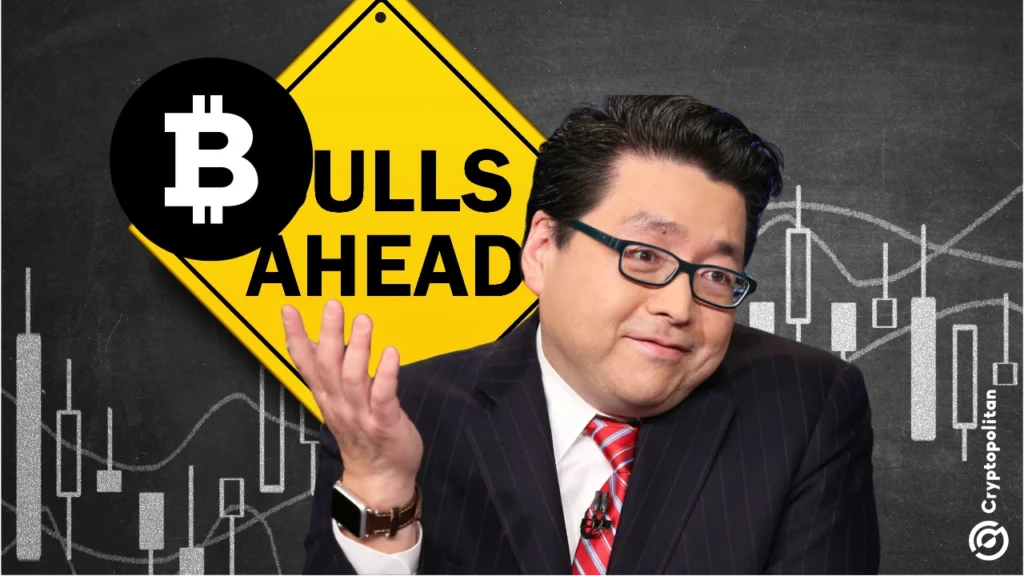 Bitmine’s Tom Lee Predicts Year-End Crypto Rally and S&P 500 Gains Bitmine’s Tom Lee Predicts Year-End Crypto Rally and S&P 500 Gains