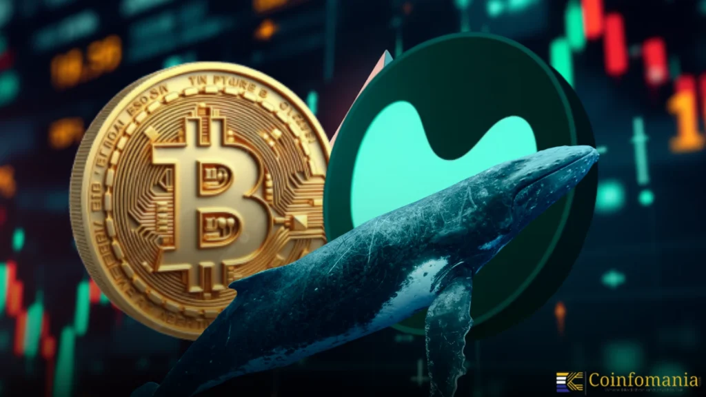 Whale Deposits 3.72 Million USDC into Hyperliquid, Goes Long on BTC, Whale Deposits 3.72 Million USDC into Hyperliquid, Goes Long on BTC,