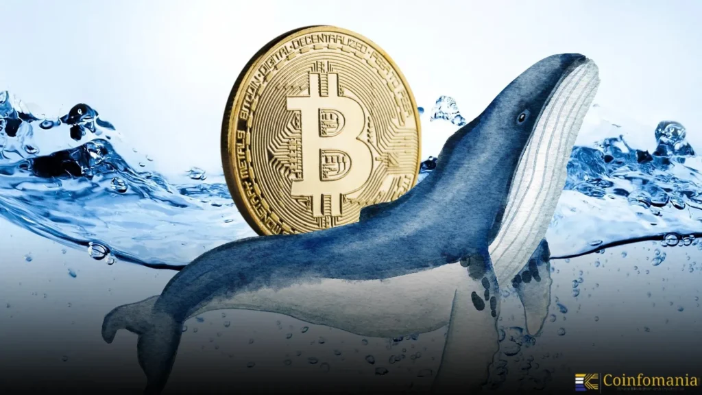 Whale Deposits .8 Million USDC to Short MON with 3x Leverage Whale Deposits .8 Million USDC to Short MON with 3x Leverage