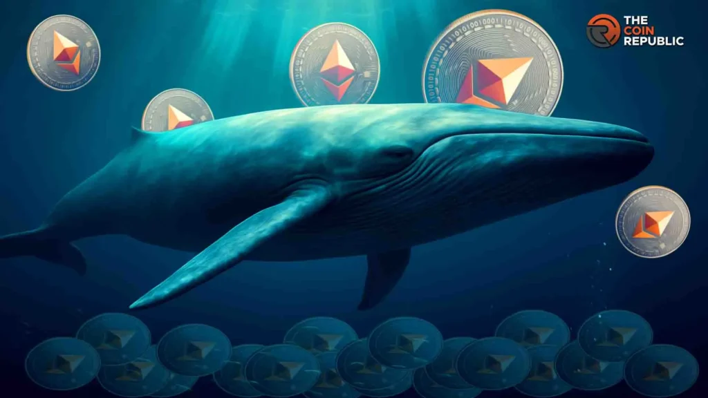 Whale Withdraws 25 Million ENA from CEX Worth Approximately .3 Mil Whale Withdraws 25 Million ENA from CEX Worth Approximately .3 Mil