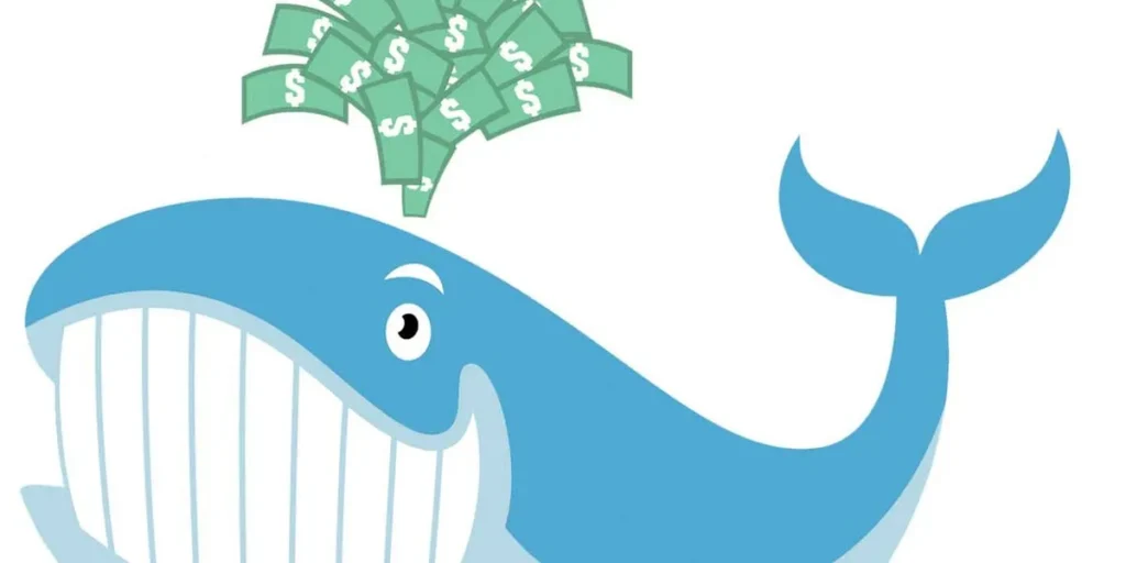 Whales in us crypto markets stir turmoil ahead of fomc decision - Bpay News