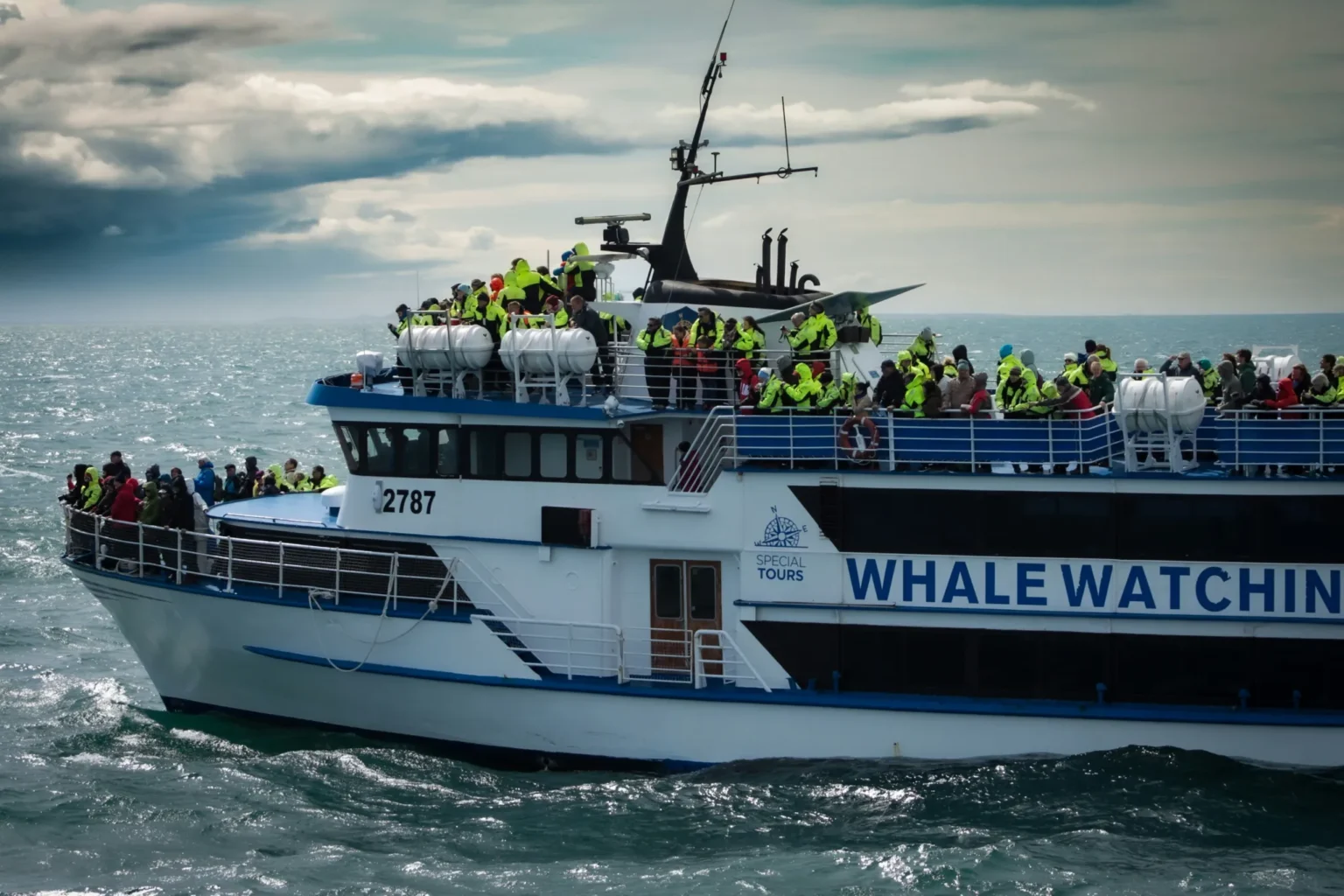Whale transfers $sol to binance worth approximately $ mi - Bpay News