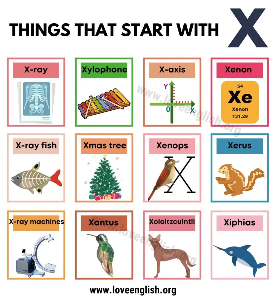 X Layer Dismisses Spokesperson Felix Fan Over Conflict of Interest X Layer Dismisses Spokesperson Felix Fan Over Conflict of Interest