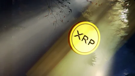 XRP Price Encounters Retracement While Whales Drive 2,200% Increase in Sales