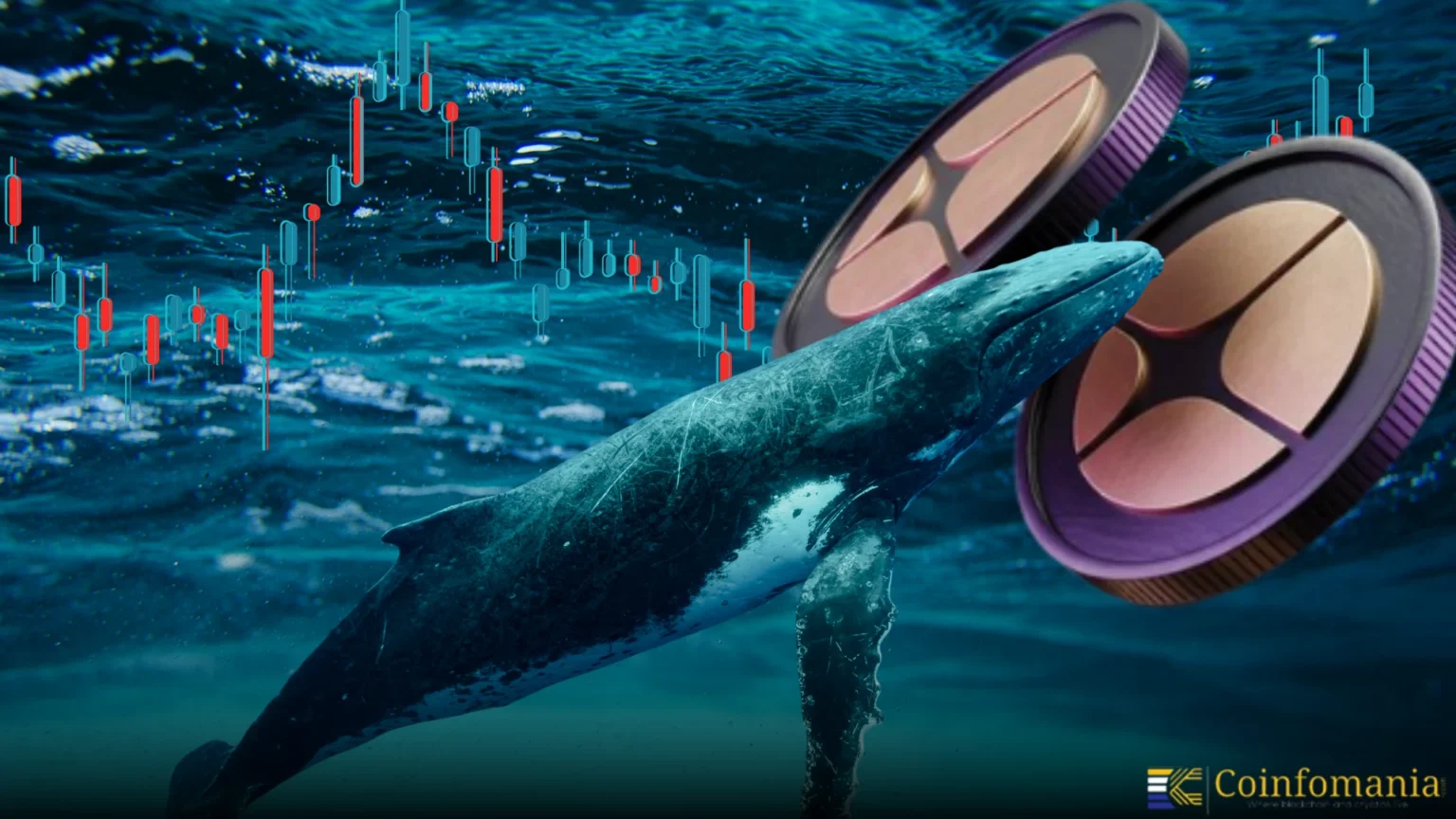 Whale Alert Million Boost in ASTER Holdings at 25 per Token - Bpay News