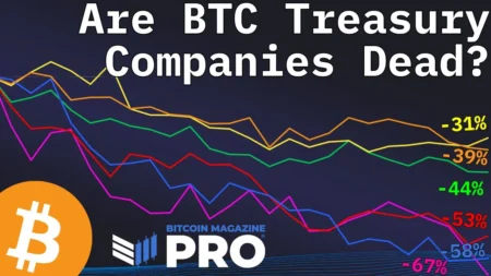 Bitcoin Treasury Companies May Have Reached a Market Bottom