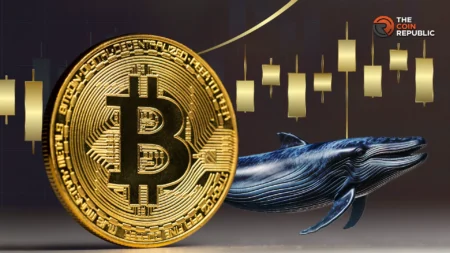 Bitcoin Whale Exiting with Large Scale Cash Out