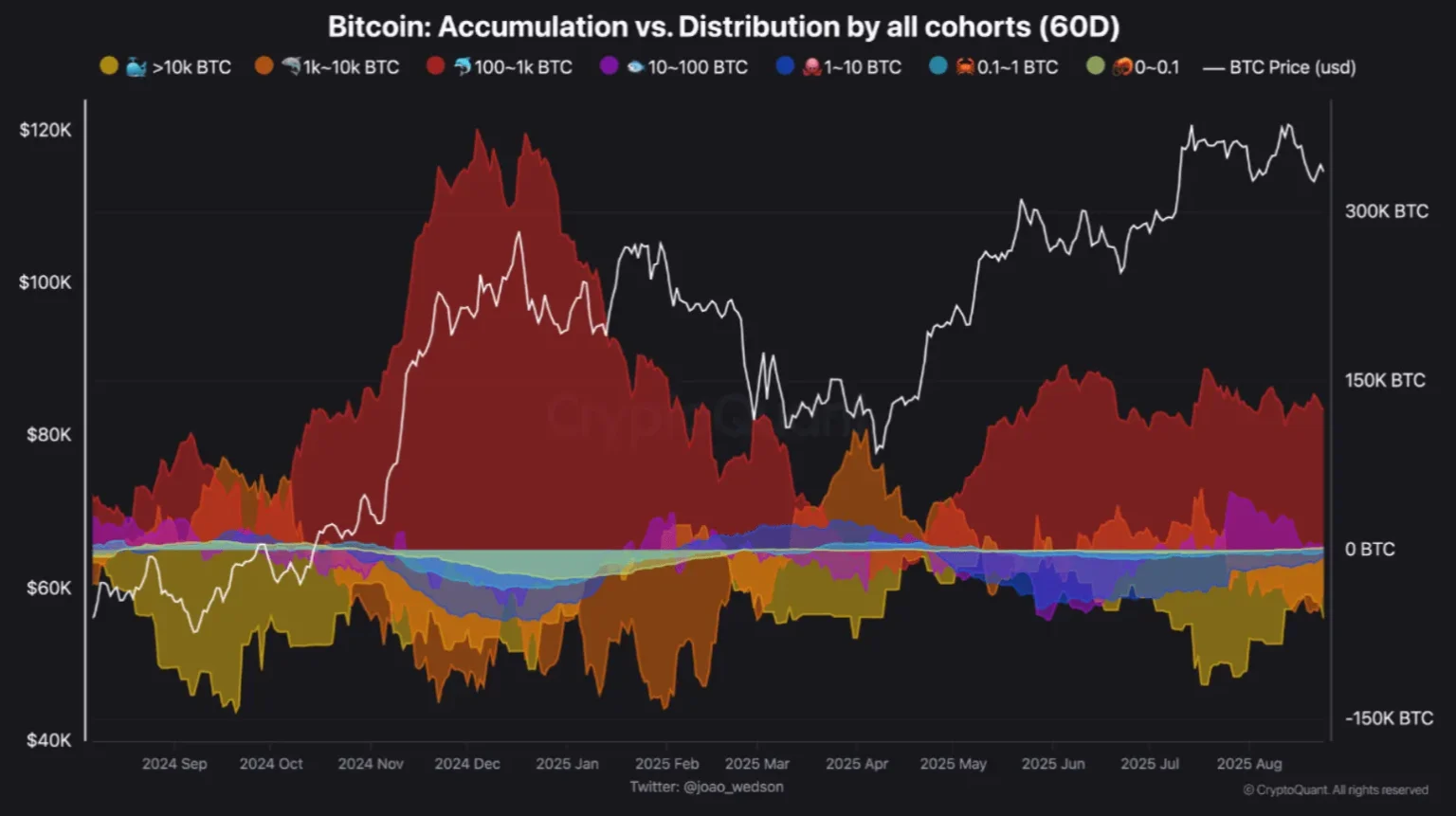 Bitcoin Accumulation Amid Market Weakness as 1K BTC Holders Rise