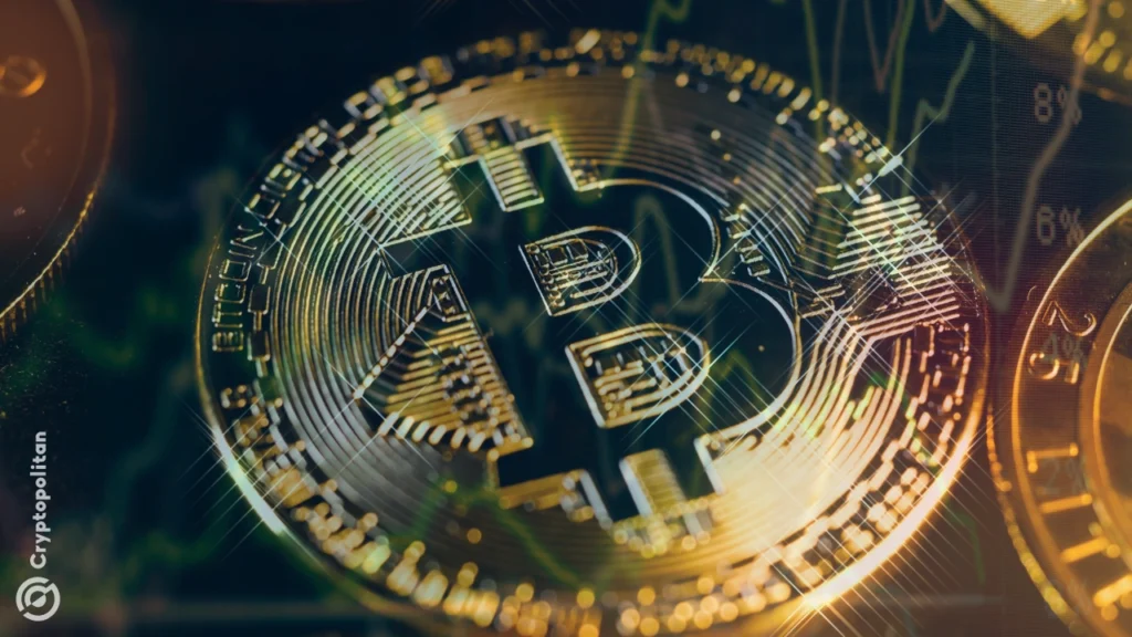 Bitwise CIO Says Farewell to 1% Allocation as Bitcoin Hits IPO Moment