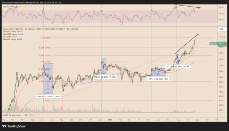 BNB Price Prediction Targets $1,050 Despite Bearish Signals