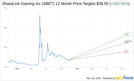 B. Riley Cuts Price Targets for Digital Asset Treasury Company