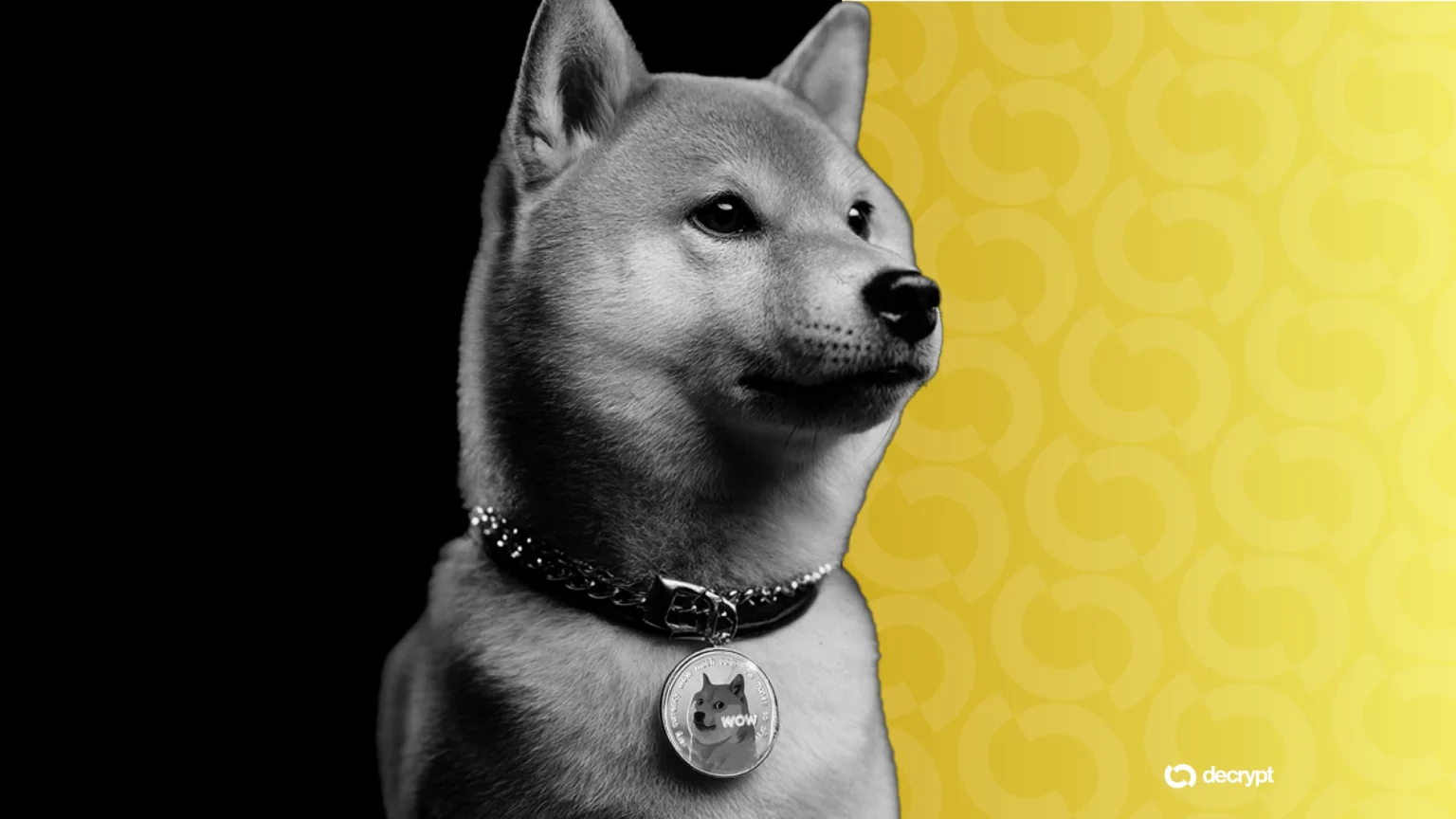 Cleancores stock plummets to record low as dogecoin dives - Bpay News