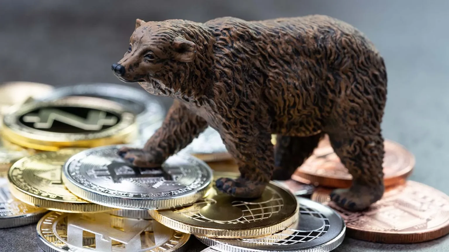 Cryptocurrency projects set to list during bear market - Bpay News