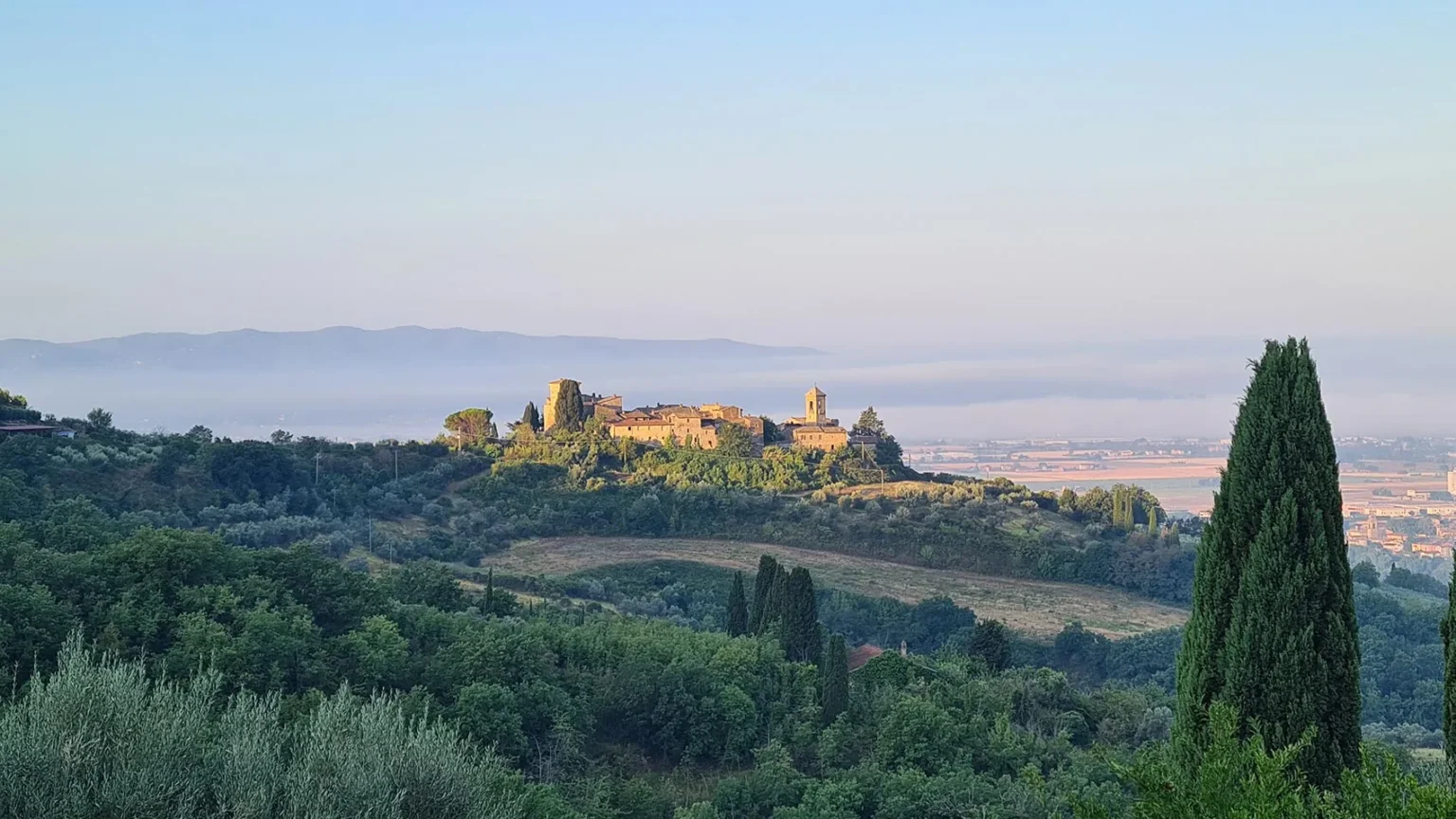 Doubts on solana price reversal as holders retreat - Bpay News