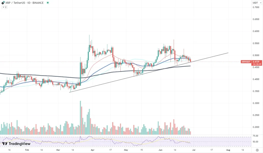 How xrp investors are now experiencing bitcoins liquidity squeeze impact - Bpay News