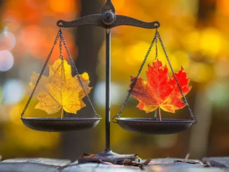 Imported Article - 2025-11-27 13:30:49