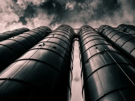 Imported Article – 2025-11-12 10:43:24 Imported Article – 2025-11-12 10:43:24