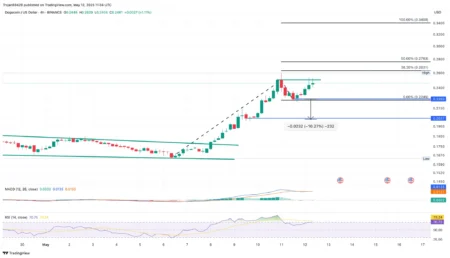 Is a Retest of $8.50 Next as Chainlink Price Slides Toward $13 Amid Mounting…