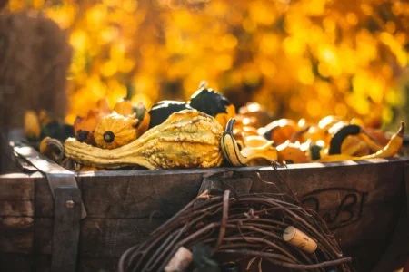 JPMorgan Chase: Bitcoin Enters Autumn of the Four-Year Cycle