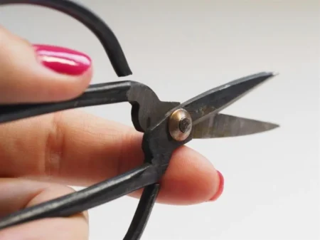 JPMorgan projects December Fed rate cut amid dovish Fedspeak