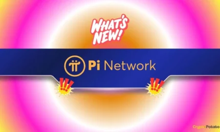Latest Update on Pi Network Launched as Prices Decrease by 10% Weekly Latest Update on Pi Network Launched as Prices Decrease by 10% Weekly